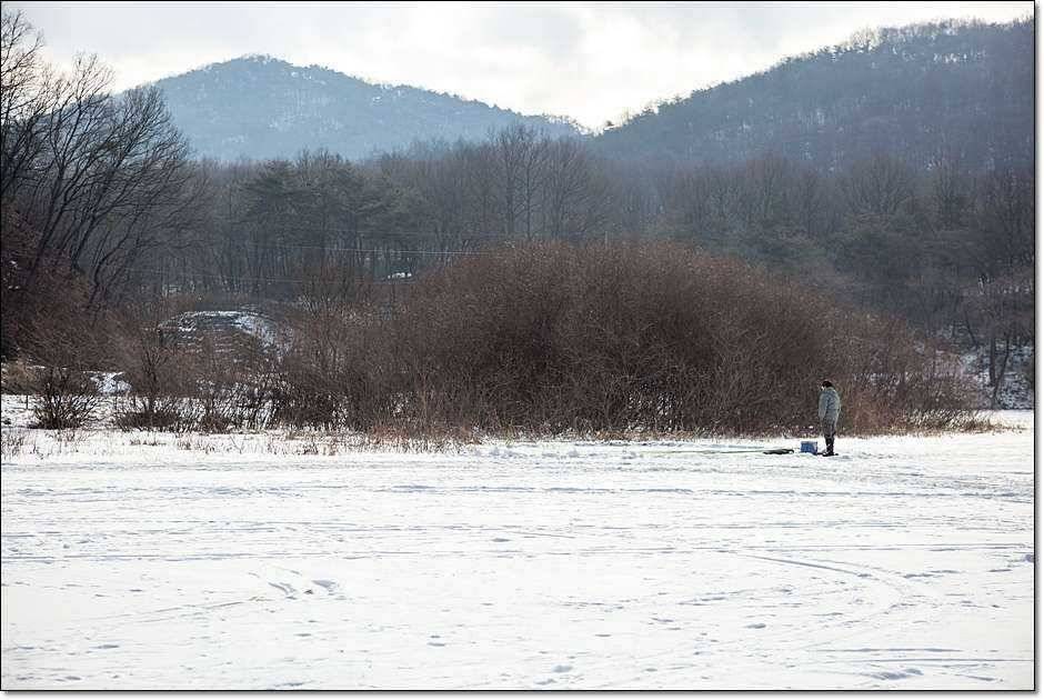 충주 괴산권 조황 (조황조행기 - 특파원조황)