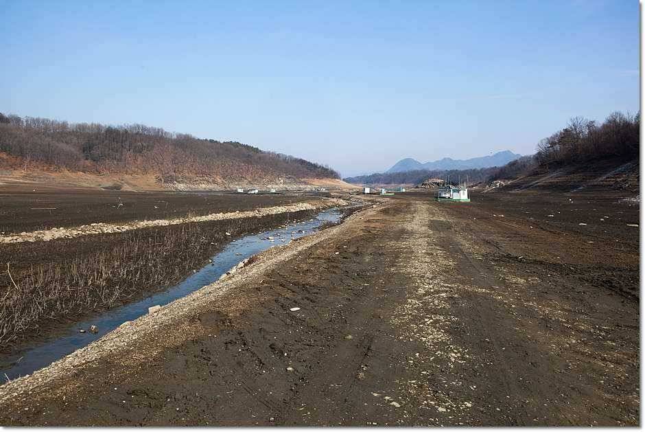 충주호 겨울 소식 (조황조행기 - 특파원조황)