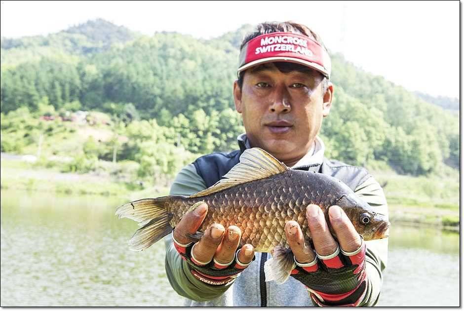 추산지소류지 조황 (조황조행기 - 특파원조황)