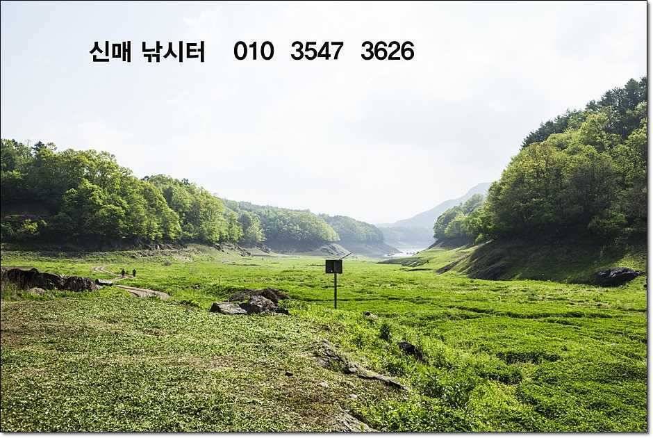 소류지 대물신매 월척 (조황조행기 - 특파원조황)