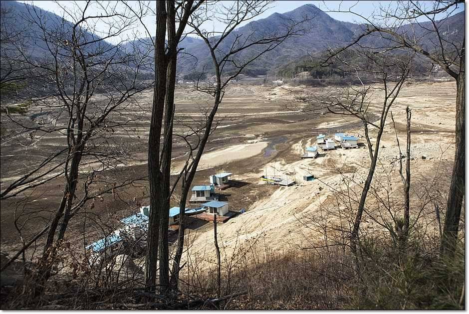 충주권 조황 (조황조행기 - 특파원조황)