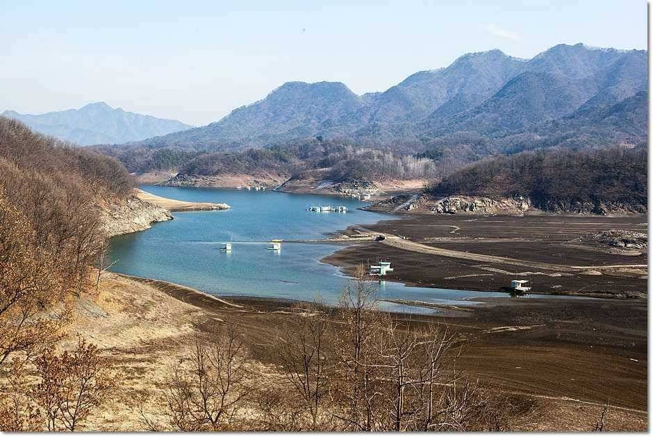 충주호 겨울 소식 (조황조행기 - 특파원조황)