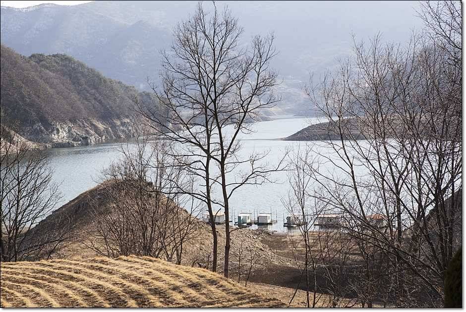 충주권 조황 (조황조행기 - 특파원조황)