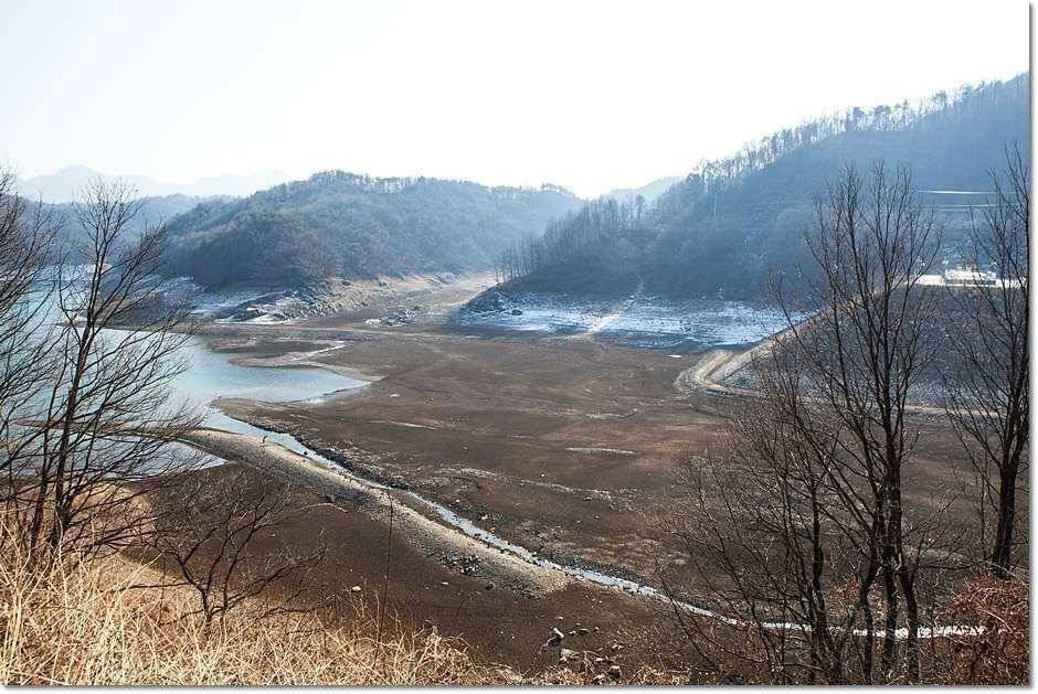 충주호 겨울 소식 (조황조행기 - 특파원조황)