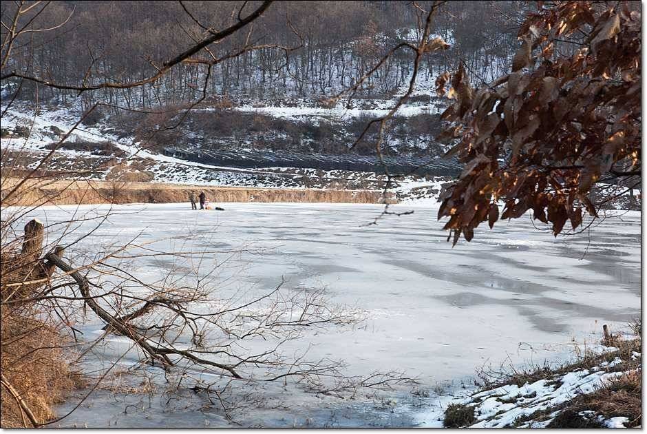 충주 괴산권 조황 (조황조행기 - 특파원조황)