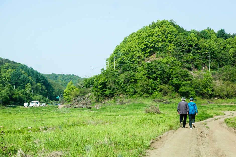 신매 사짜노지 조황 (조황조행기 - 특파원조황)