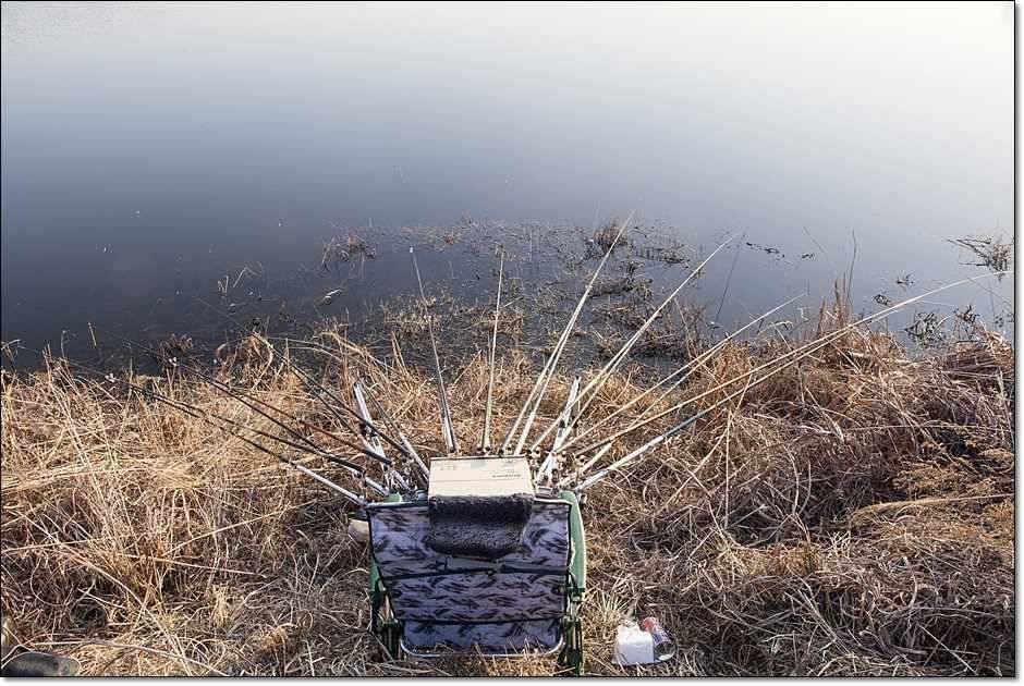 충주권 조황 (조황조행기 - 특파원조황)