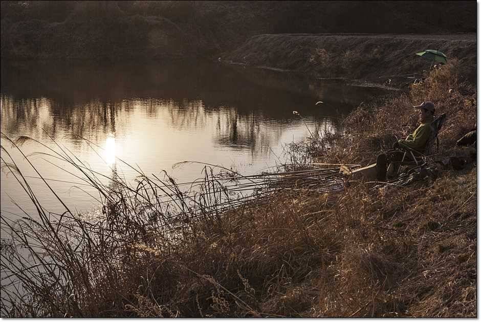 충주권 조황 (조황조행기 - 특파원조황)