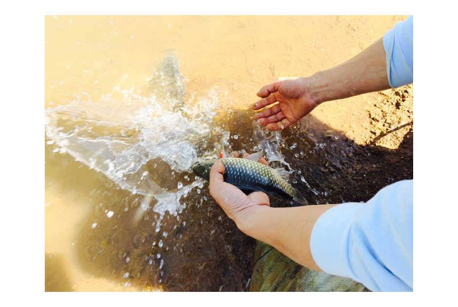신매 사짜노지 조황 (조황조행기 - 특파원조황)