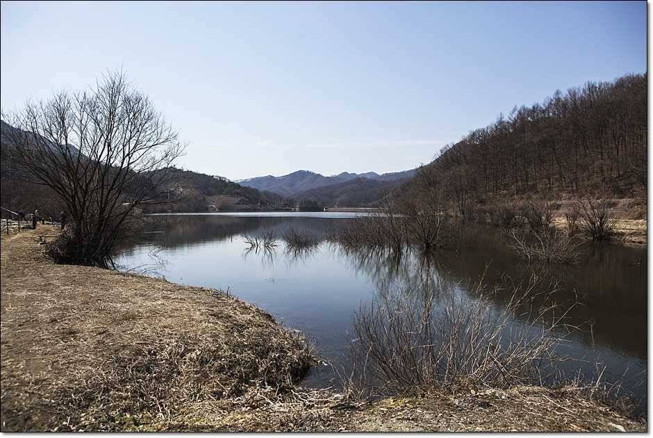 충주권 조황 (조황조행기 - 특파원조황)
