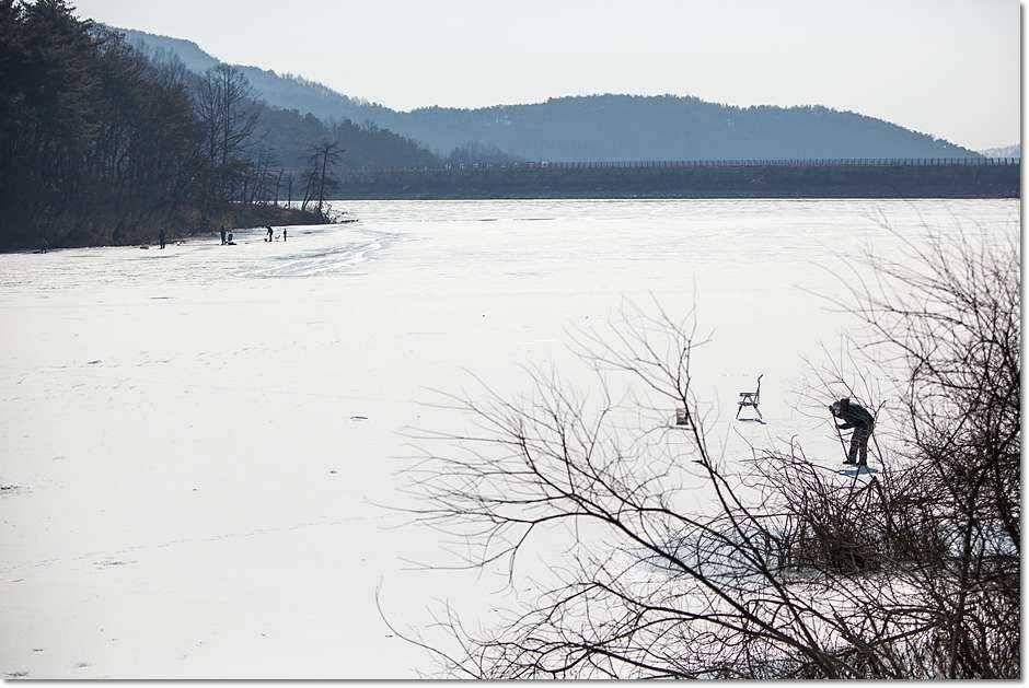 충주호 겨울 소식 (조황조행기 - 특파원조황)