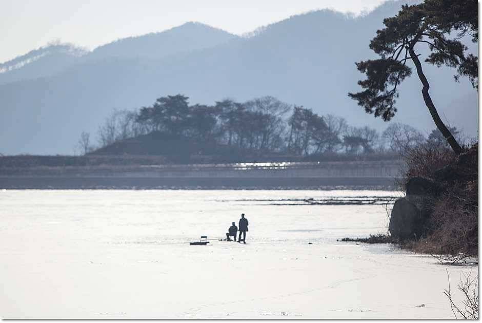 충주호 겨울 소식 (조황조행기 - 특파원조황)