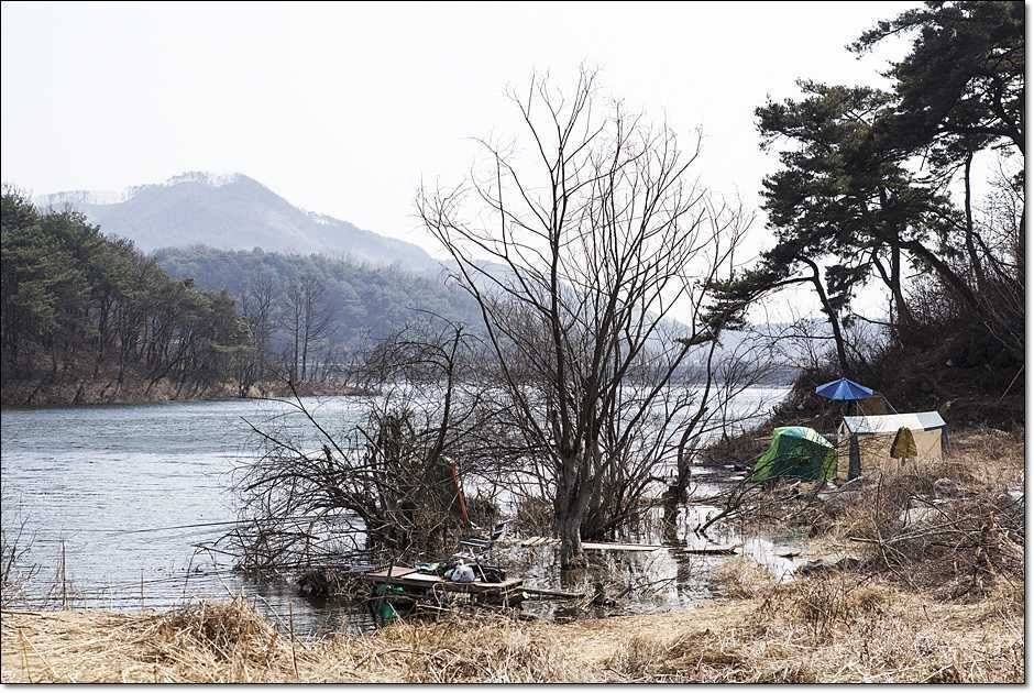 충주권 조황 (조황조행기 - 특파원조황)