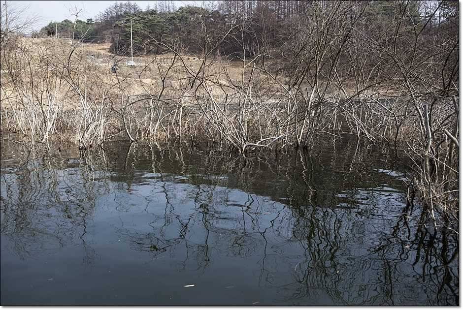충주권 조황 (조황조행기 - 특파원조황)