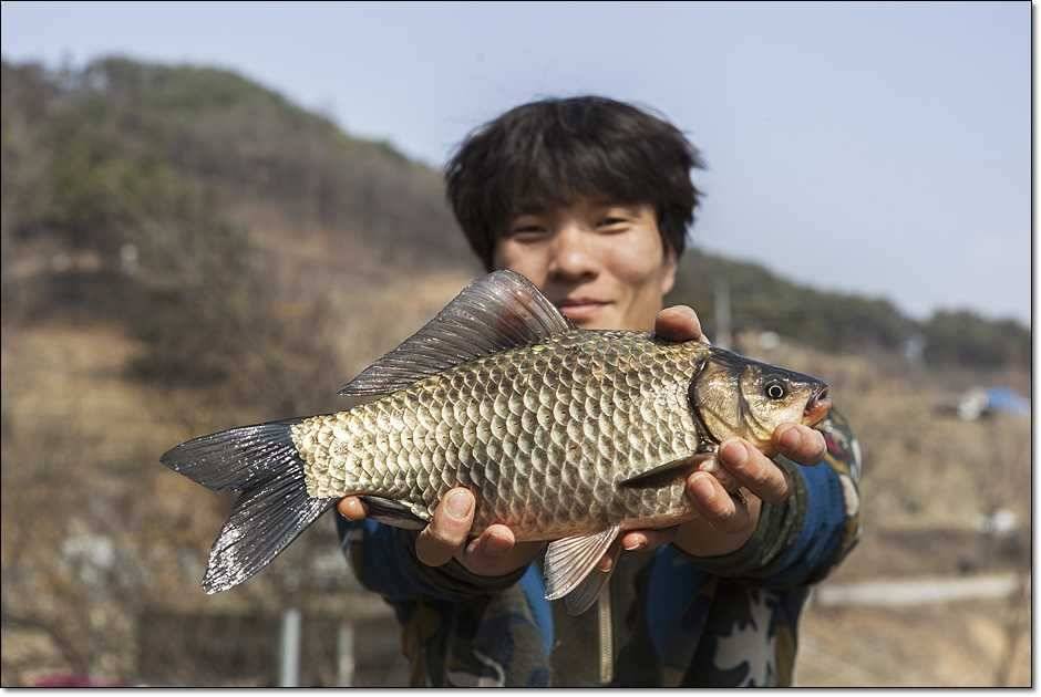 충주권 조황 (조황조행기 - 특파원조황)