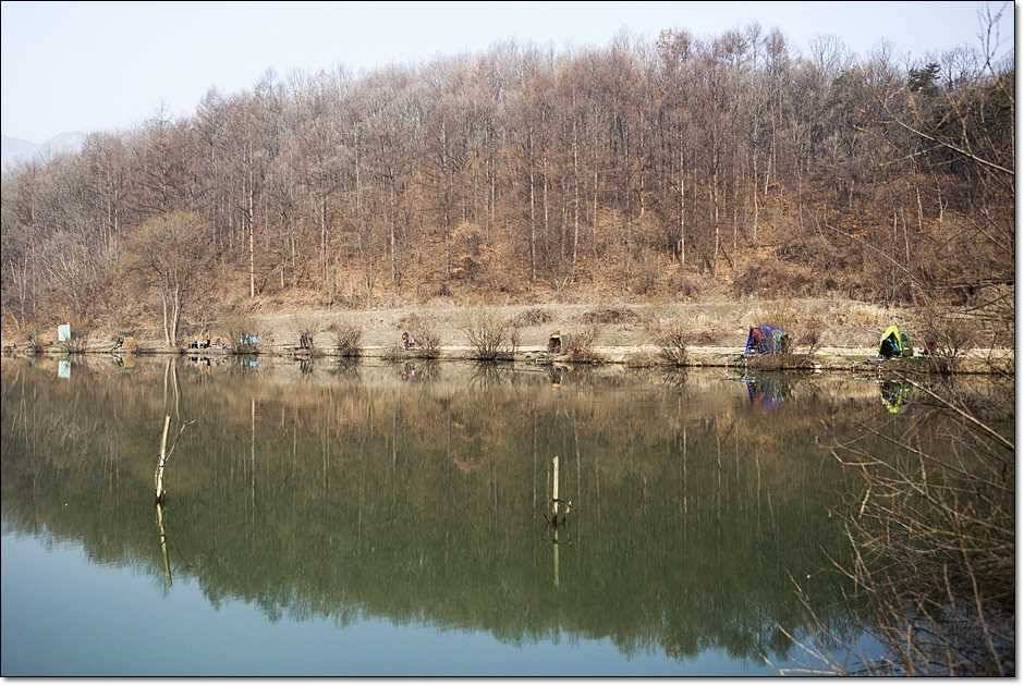 충주권 조황 (조황조행기 - 특파원조황)