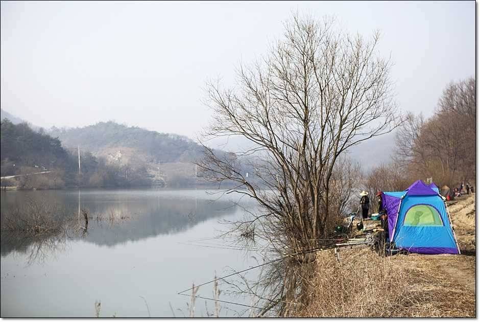 충주권 조황 (조황조행기 - 특파원조황)