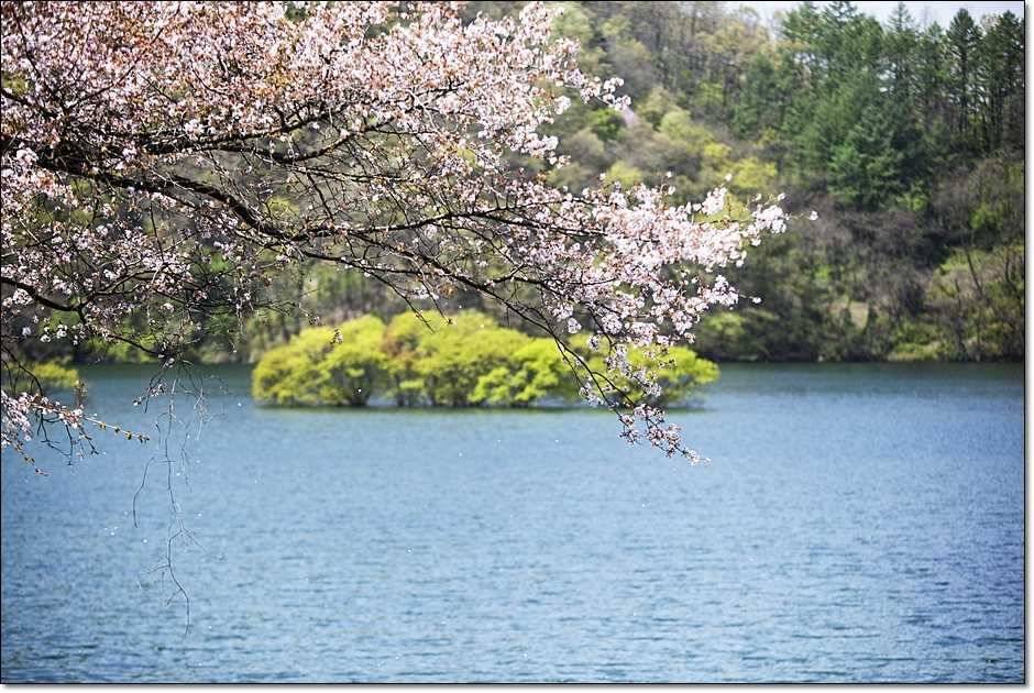 충주권 주말 조황 (조황조행기 - 특파원조황)