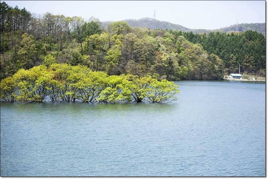 충주권 주말 조황 (조황조행기 - 특파원조황)
