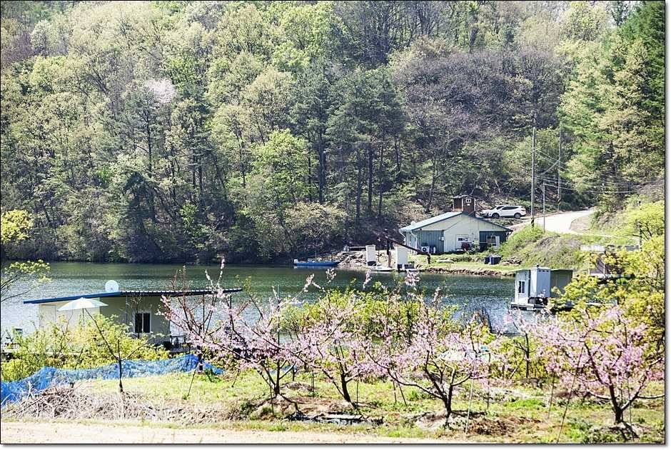 충주권 주말 조황 (조황조행기 - 특파원조황)
