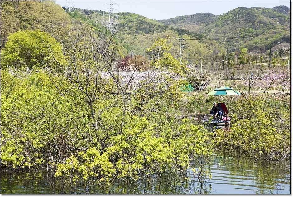 충주권 주말 조황 (조황조행기 - 특파원조황)