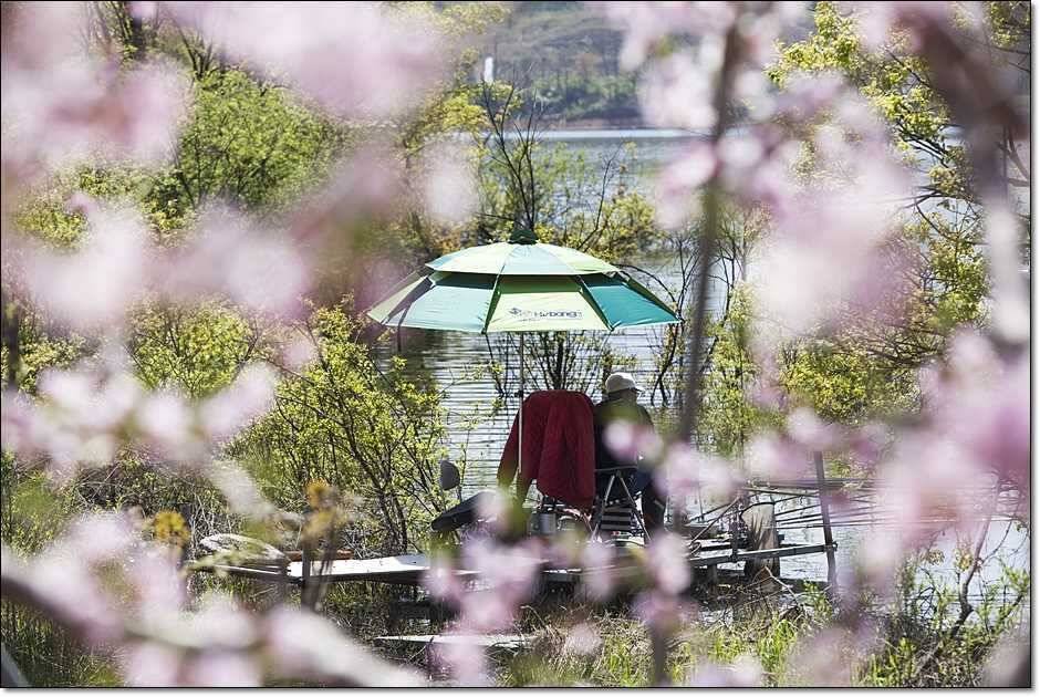충주권 주말 조황 (조황조행기 - 특파원조황)