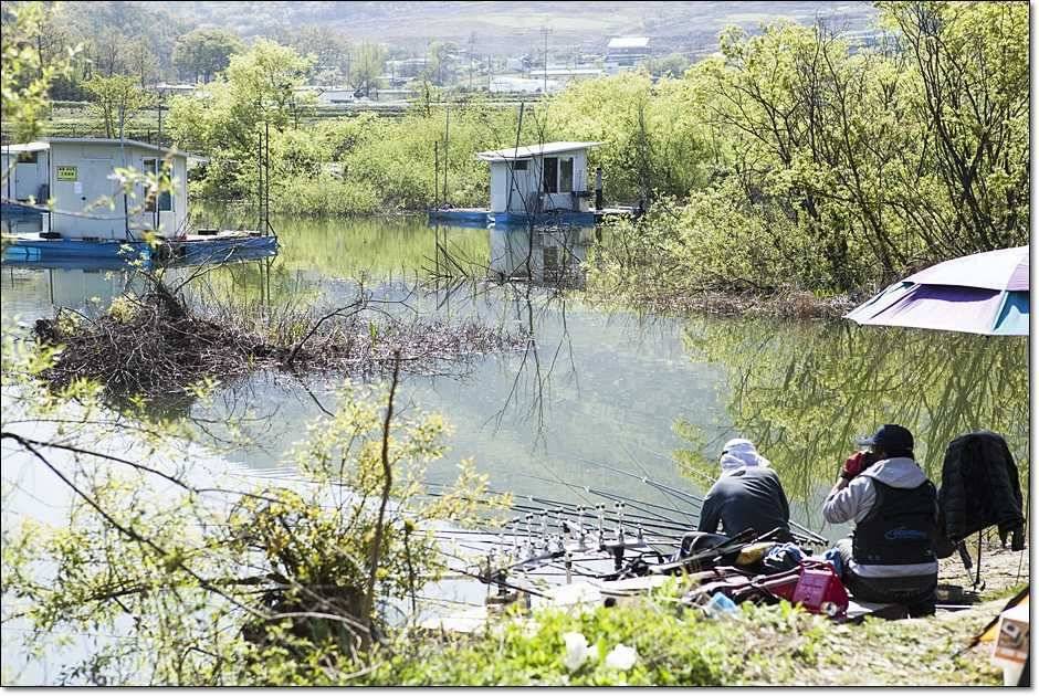 충주권 주말 조황 (조황조행기 - 특파원조황)