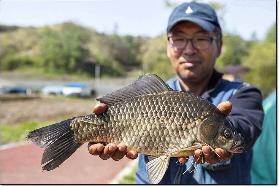 충주권 주말 조황 (조황조행기 - 특파원조황)
