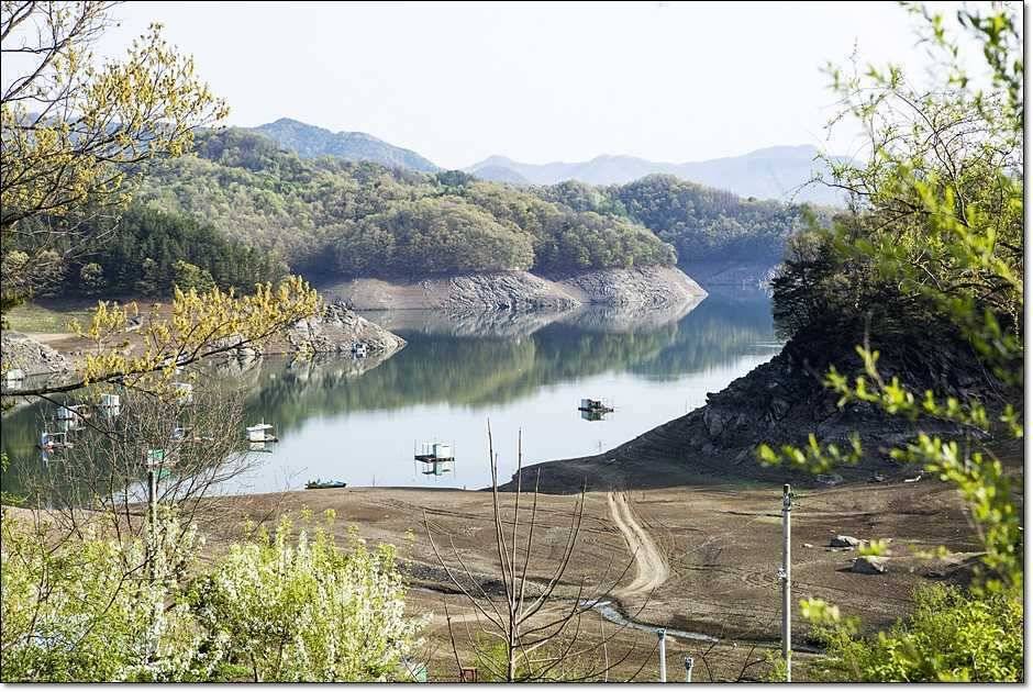 충주권 주말 조황 (조황조행기 - 특파원조황)