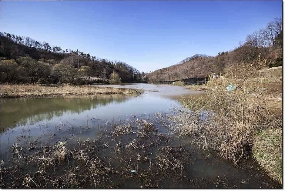 충주괴산권 주말조황 (조황조행기 - 특파원조황)