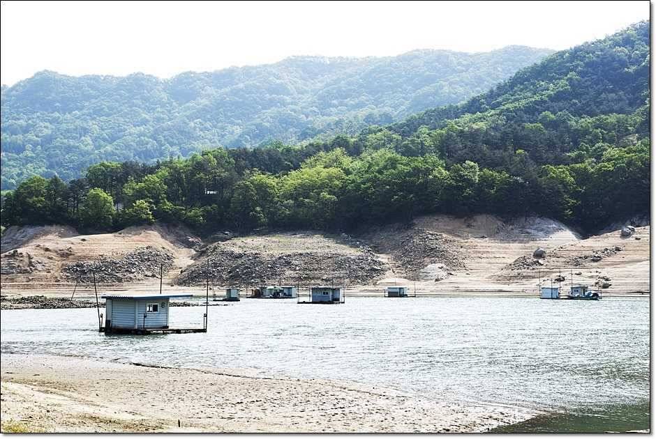 솔사짜 (조황조행기 - 특파원조황)