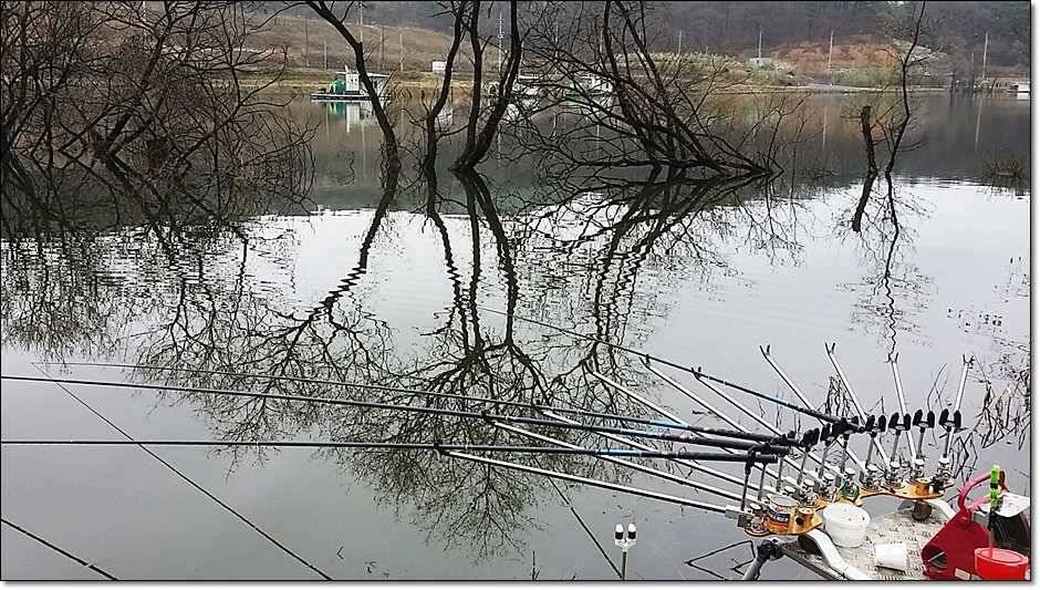 충주괴산권 주말조황 (조황조행기 - 특파원조황)