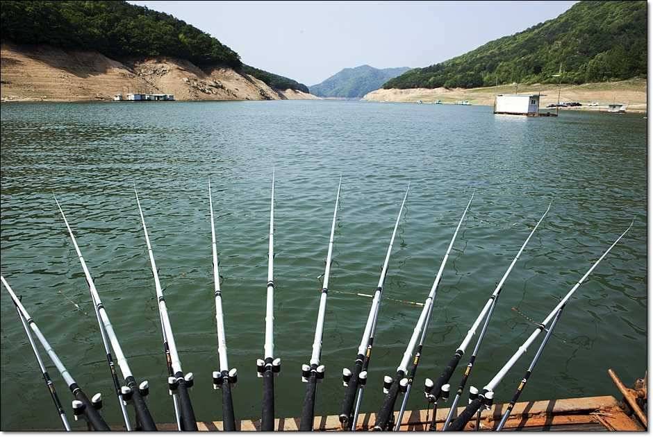 솔사짜 (조황조행기 - 특파원조황)