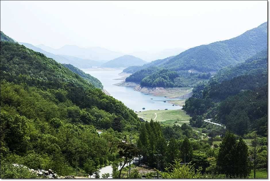 솔사짜 (조황조행기 - 특파원조황)