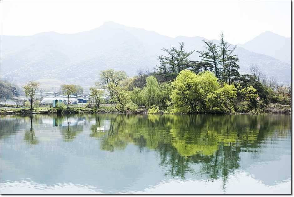 대물들의 행진 (조황조행기 - 특파원조황)