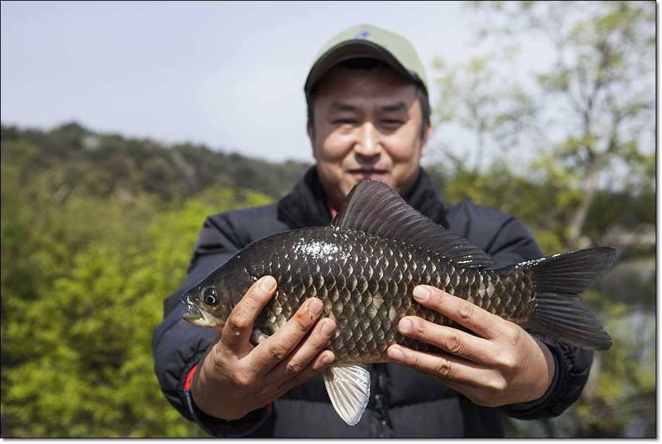 대물들의 행진 (조황조행기 - 특파원조황)