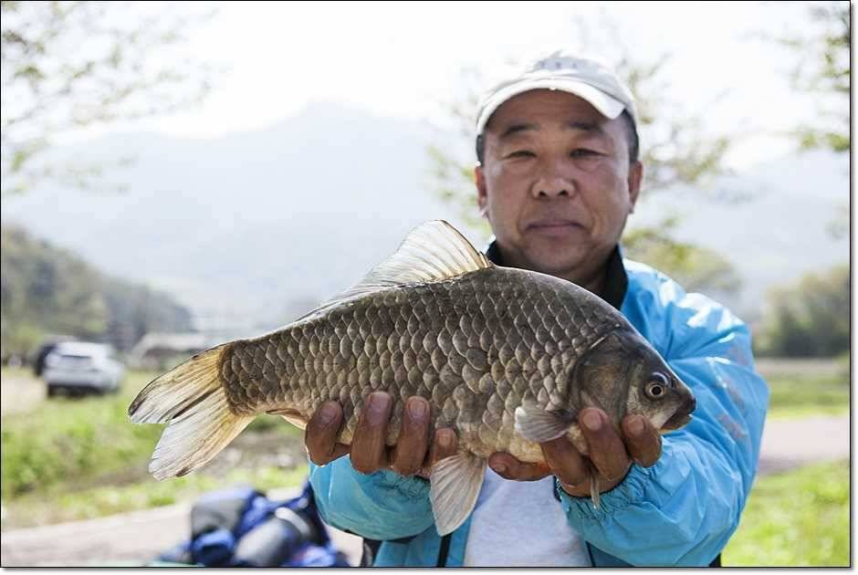 대물들의 행진 (조황조행기 - 특파원조황)