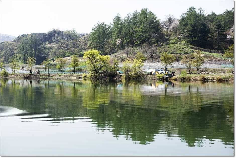 대물들의 행진 (조황조행기 - 특파원조황)