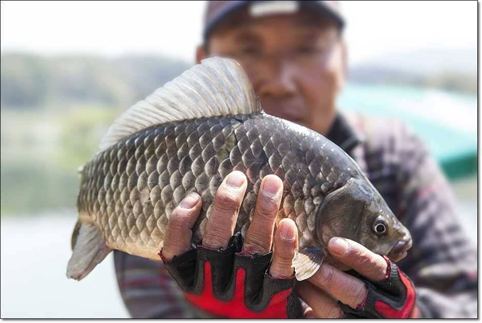 대물들의 행진 (조황조행기 - 특파원조황)