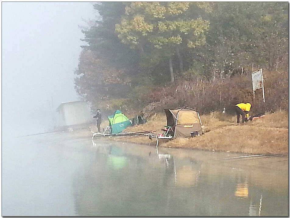 칠성지 사짜한버들 월척 (조황조행기 - 특파원조황)