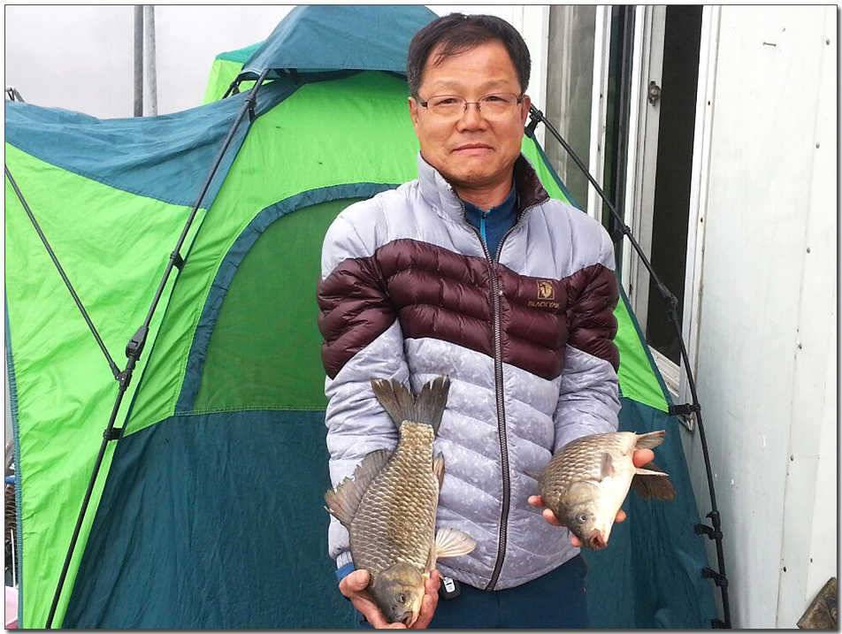 칠성지 사짜한버들 월척 (조황조행기 - 특파원조황)
