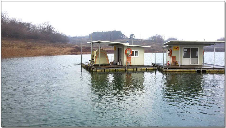 한버들 월척마릿수 조황 (조황조행기 - 특파원조황)