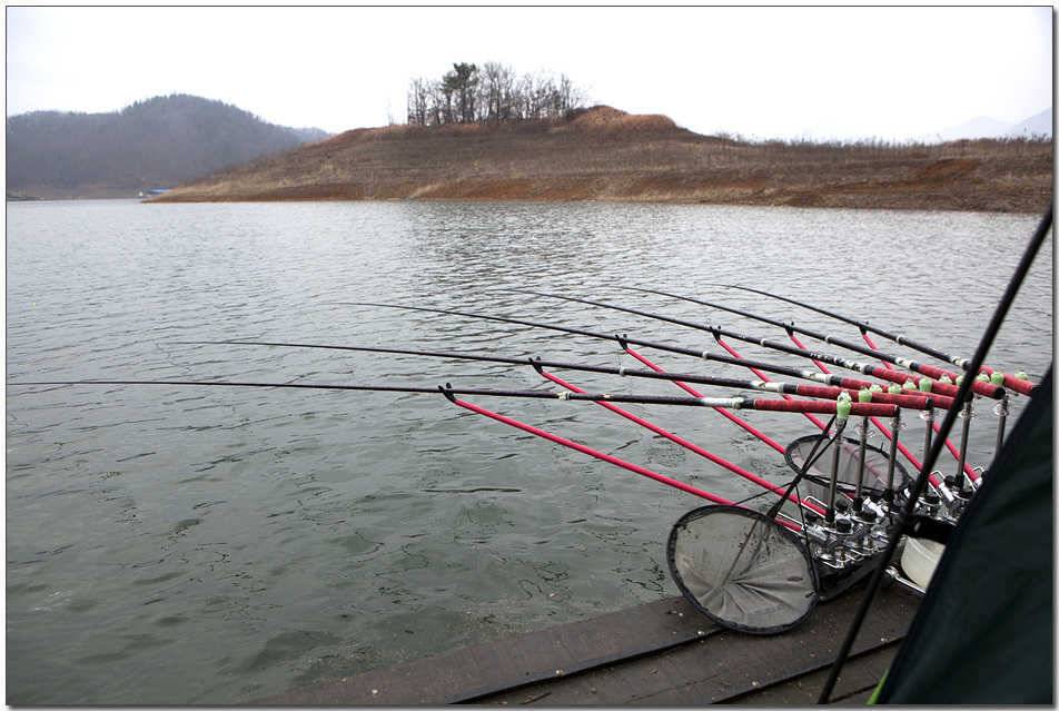 충주호 겨울 낚시 (조황조행기 - 특파원조황)
