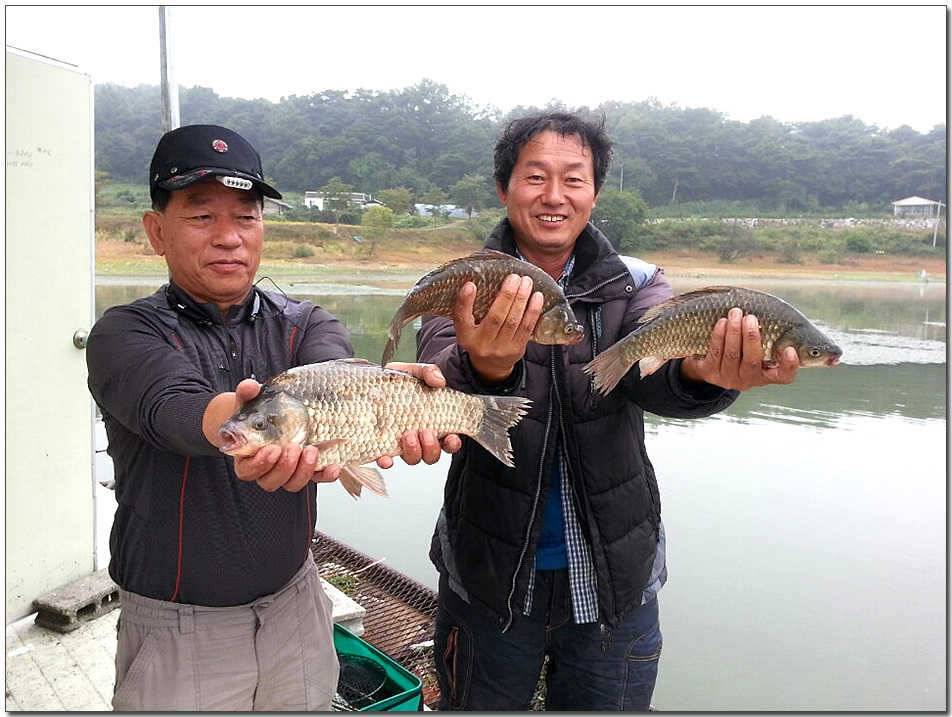 칠성지 월척충주호 노지 사진 (조황조행기 - 특파원조황)