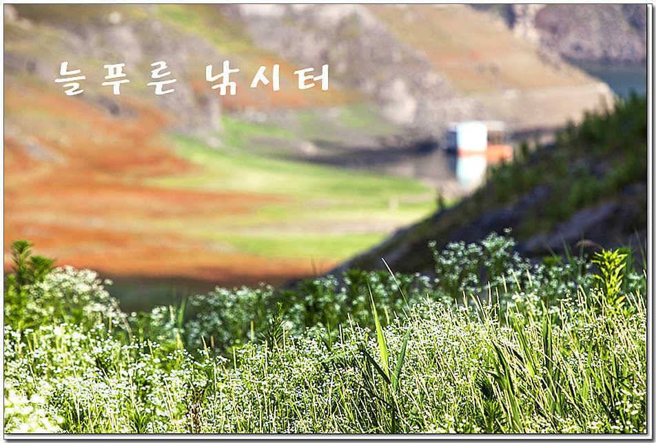 늘푸른 장어 소식 (조황조행기 - 특파원조황)
