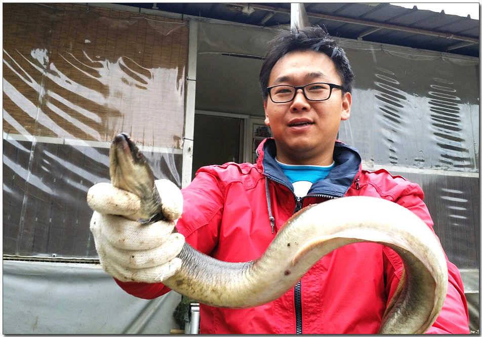 늘푸른 13 kg 대물장어칠성지 사짜 (조황조행기 - 특파원조황)