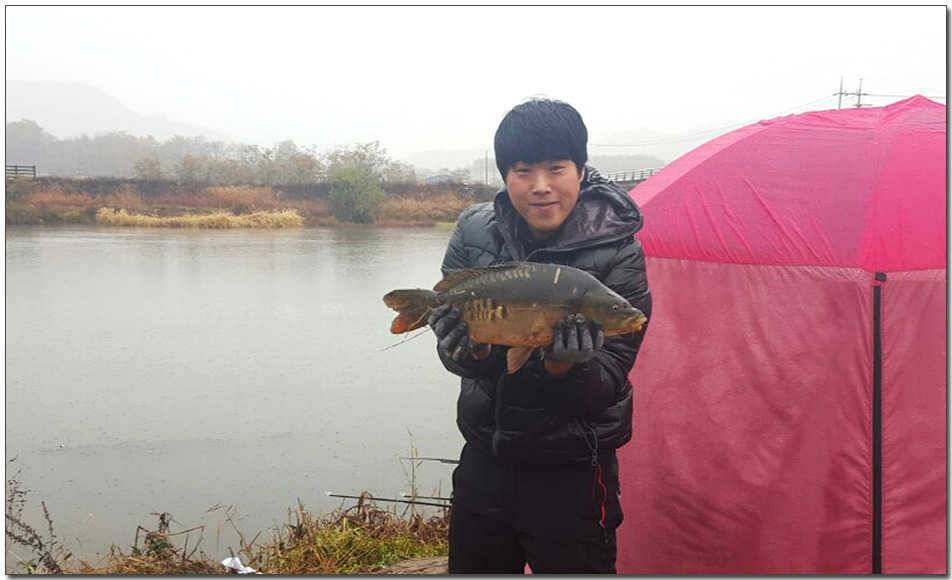 칠성지 사짜요도천 조황 (조황조행기 - 특파원조황)