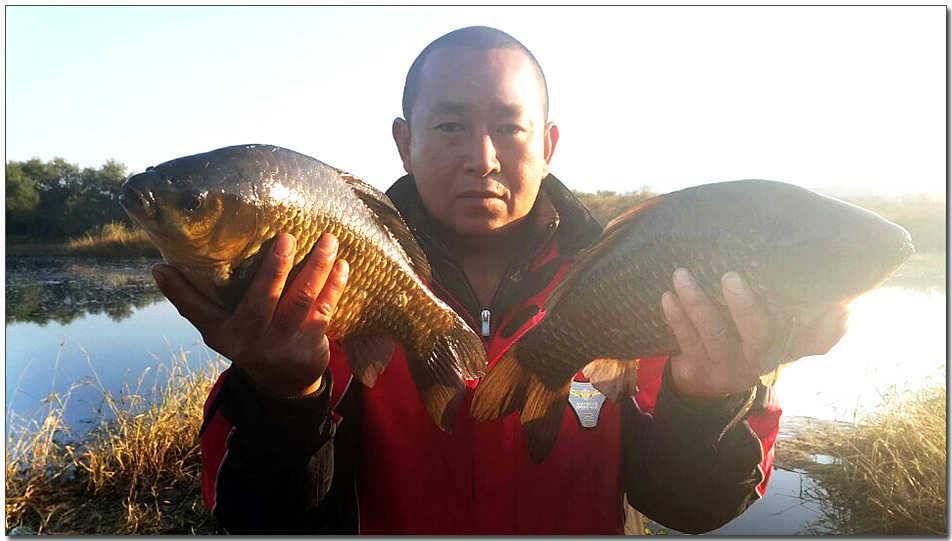 제일 사짜노지 대물들 (조황조행기 - 특파원조황)