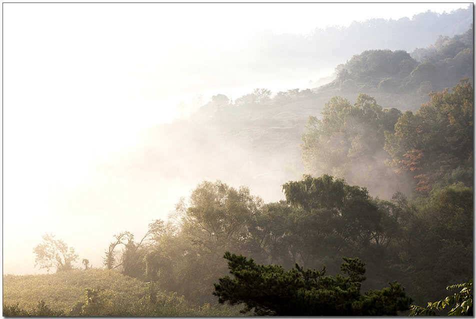 한버들 사짜칠성지 사짜충주호 노지 대물 (조황조행기 - 특파원조황)