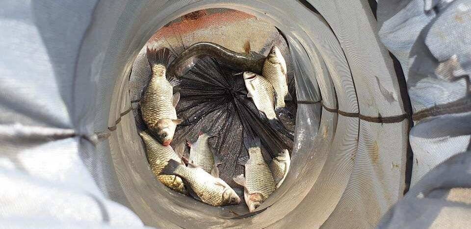 두창지 손맛은 보실 수 있습니다 (조황조행기 - 특파원조황)